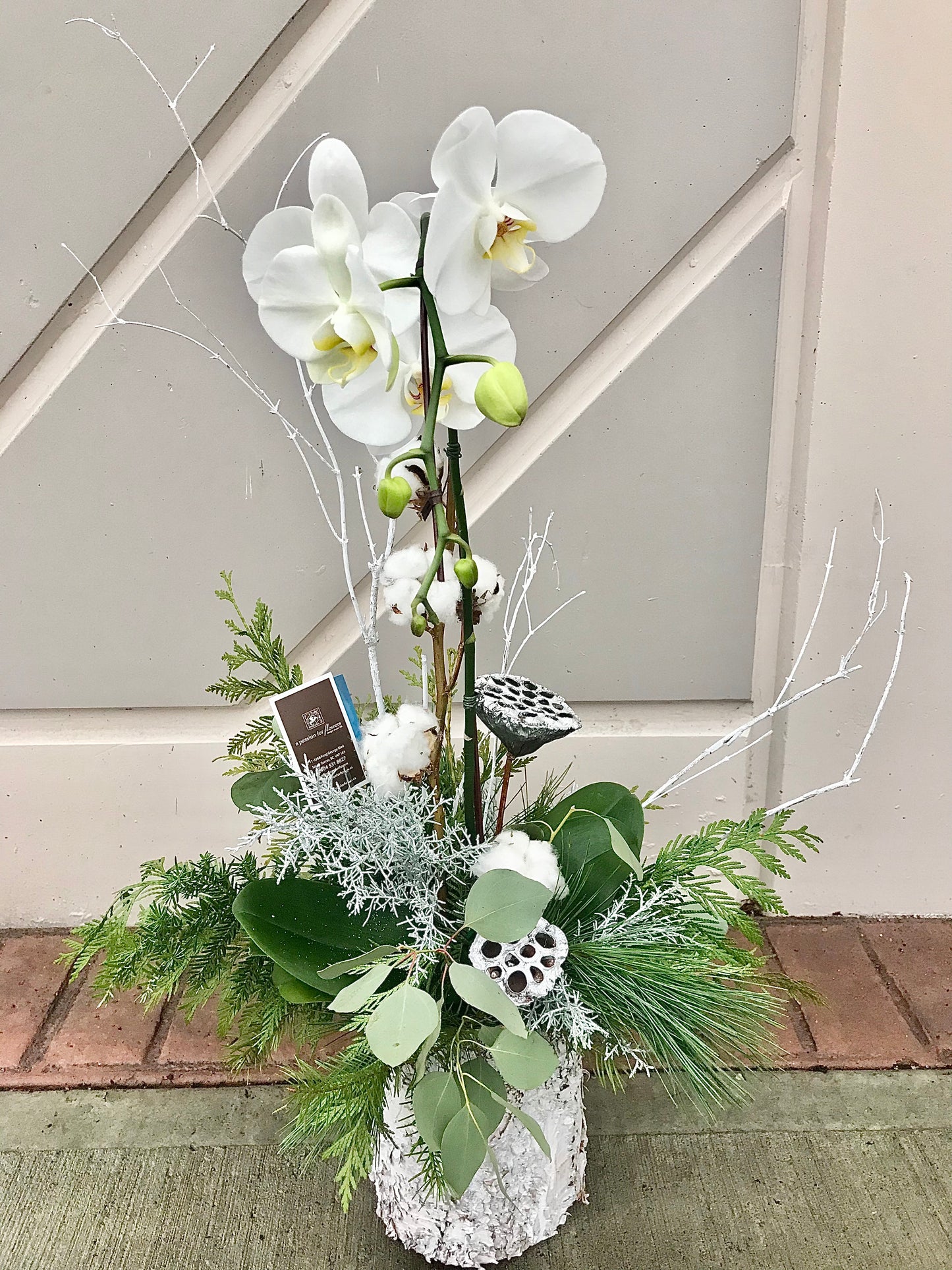 Wintry Orchid Planter - Best of the Season
