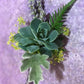 example of an upgraded boutonniere - please contact us directly for quote and options