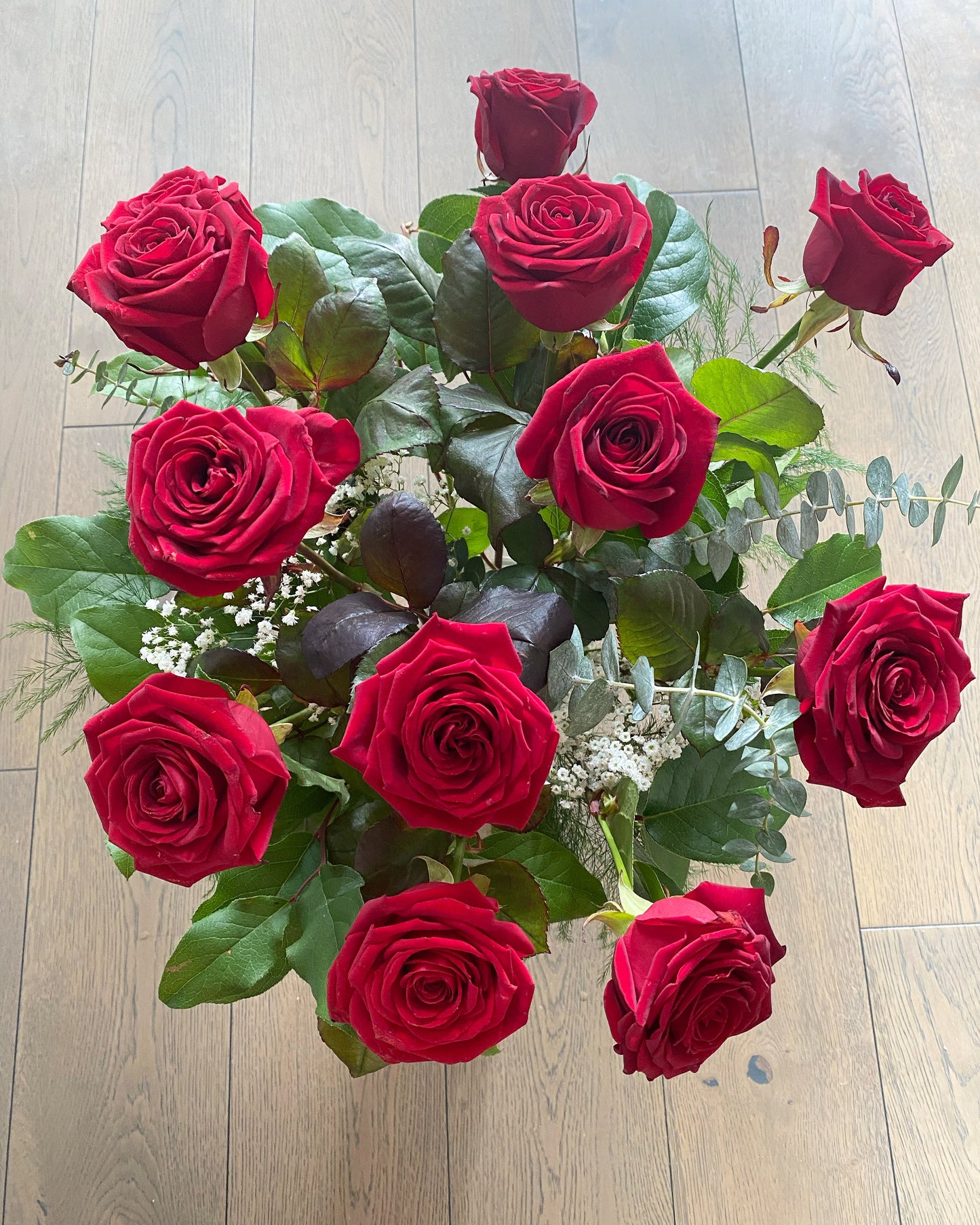 Premium Ecuador Long Stem Roses